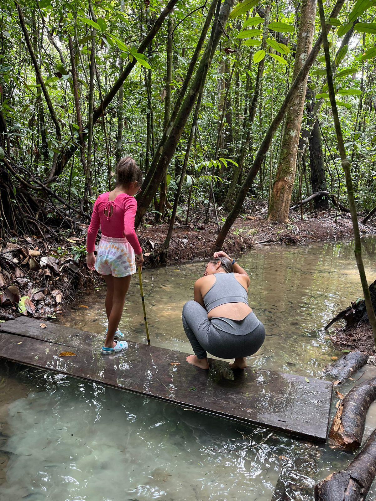 COP 30 Camping in Belém: Connect with Nature and Save on Accommodation 2 Belém Brazilian Revitalizing Herbal Baths