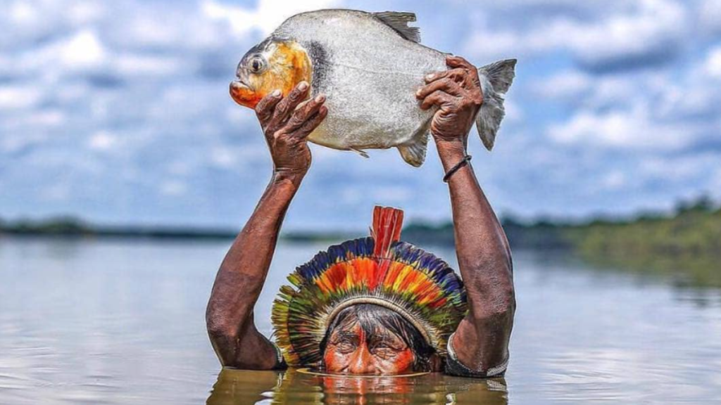 Cultural influences on Amazon river fish cuisine with ecofriendly practices 3 Belém Brazilian Amazonian indigenous fisherman holding a piranha by the river, representing cultural practices and sustainable fishing in the rainforest