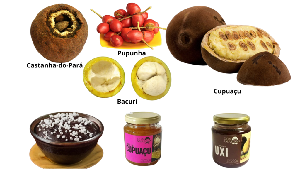 Exotic Fruit-Based Desserts Found in the Tropical Climates of the Amazon 5 Belém Brazilian Exotic Fruit-Based Desserts Found in the Tropical Climates of the Amazon