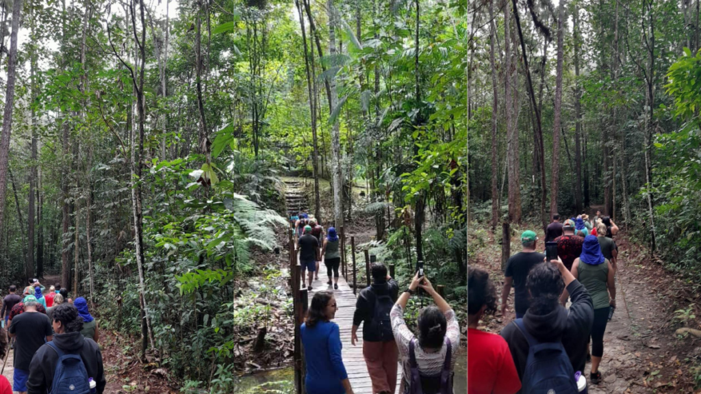 COP 30 Camping in Belém: Connect with Nature and Save on Accommodation 6 Belém Brazilian COP 30 Camping in Belém: Connect with Nature and Save on Accommodation