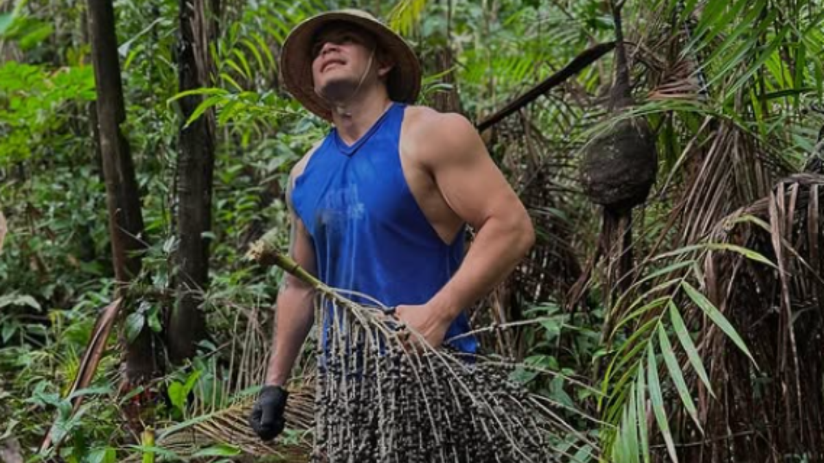 Açaí from Pará: History, Riverside Culture, and Sustainability in the Amazon 1 Belém Brazilian Tiago da Silva harvesting açaí in the Amazon rainforest near Anajás, Pará