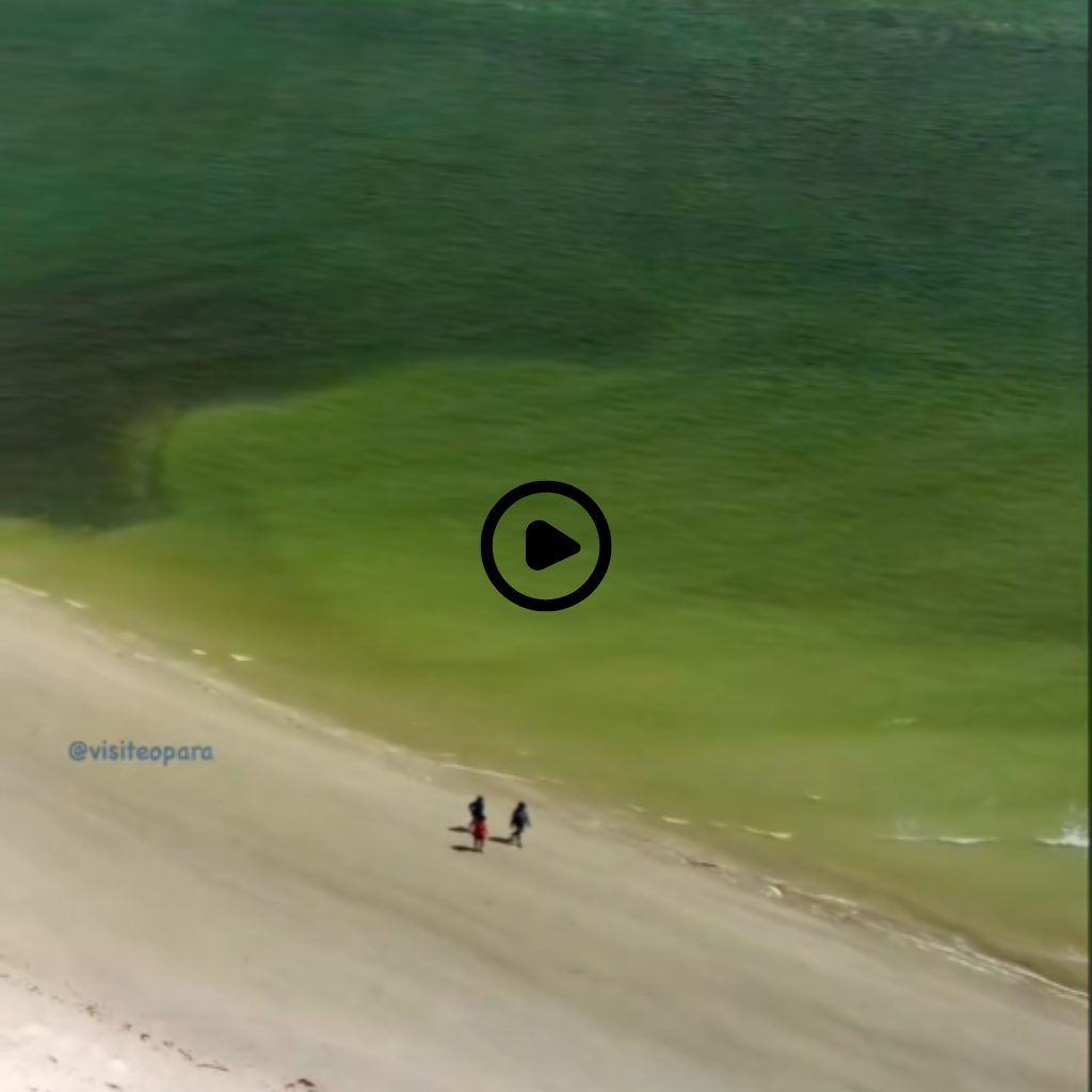 Drone image of Corvina Beach in Salinópolis, Pará, with a video link to TikTok @visiteopara