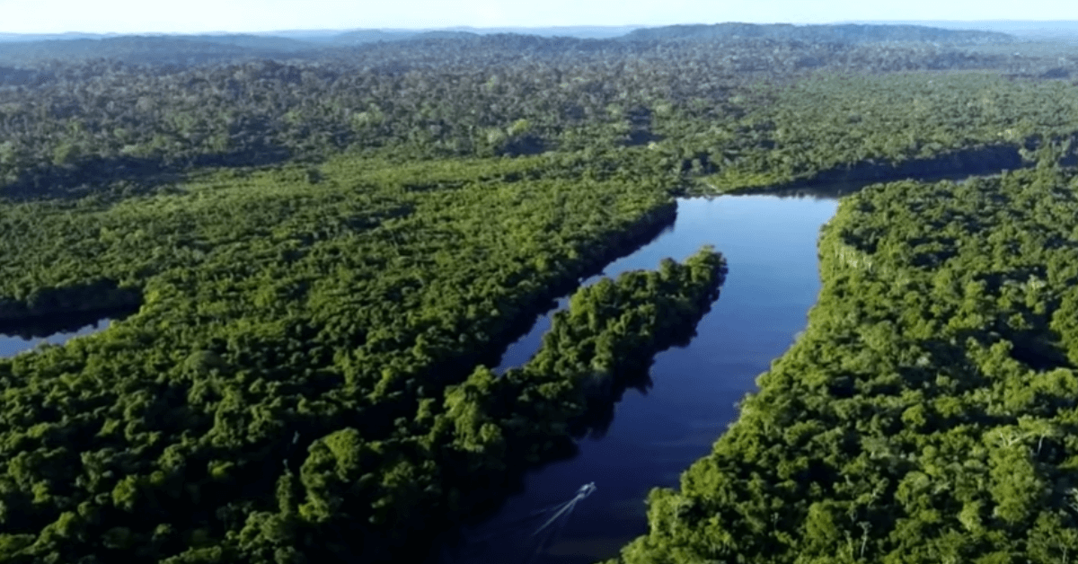 Terra do Meio Ecological Station: Preservation, Conflicts, and the Future of Traditional Communities 1 Belém Brazilian Drone view of Xingu River, Terra do Meio